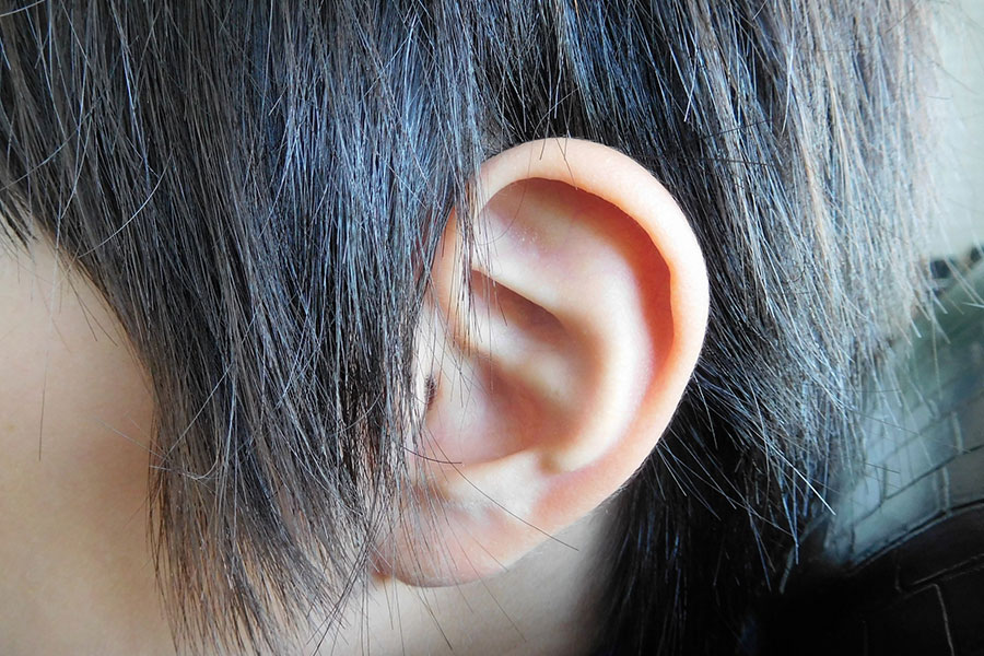 言語・コミュニケーション